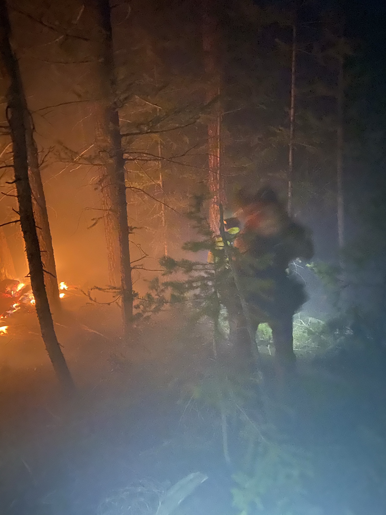 Wildland firefighter working in smoky forest at night