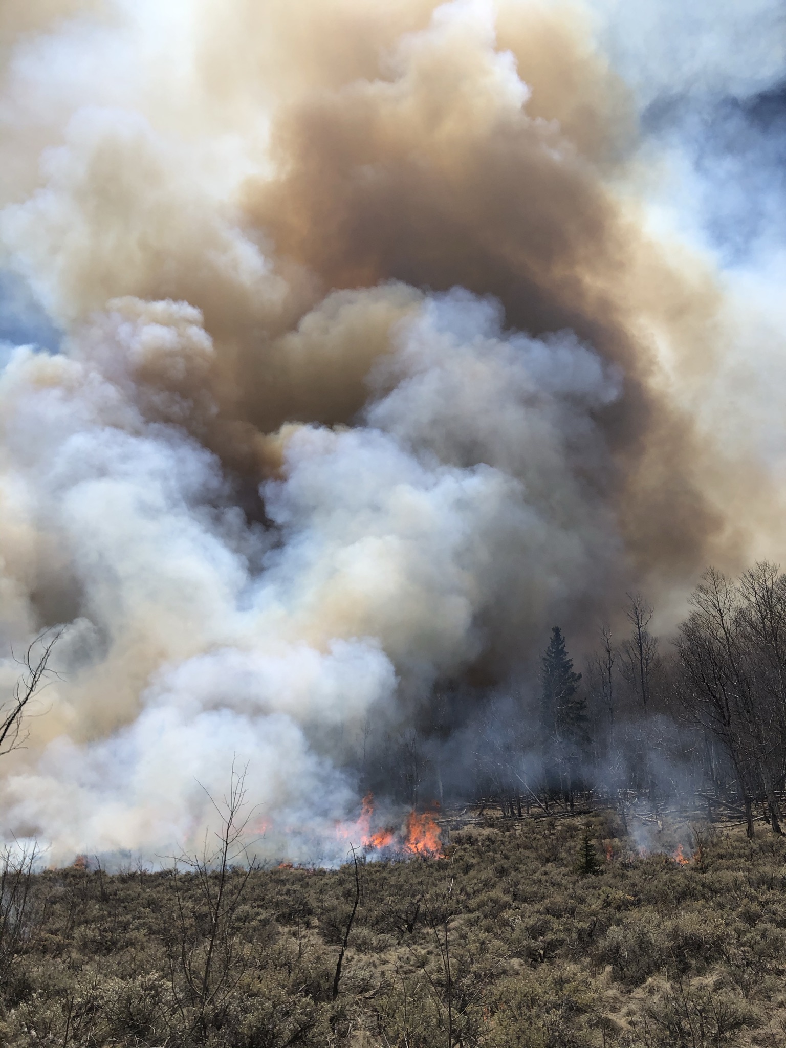 Prescribed burn with smoke plume in sagebrush