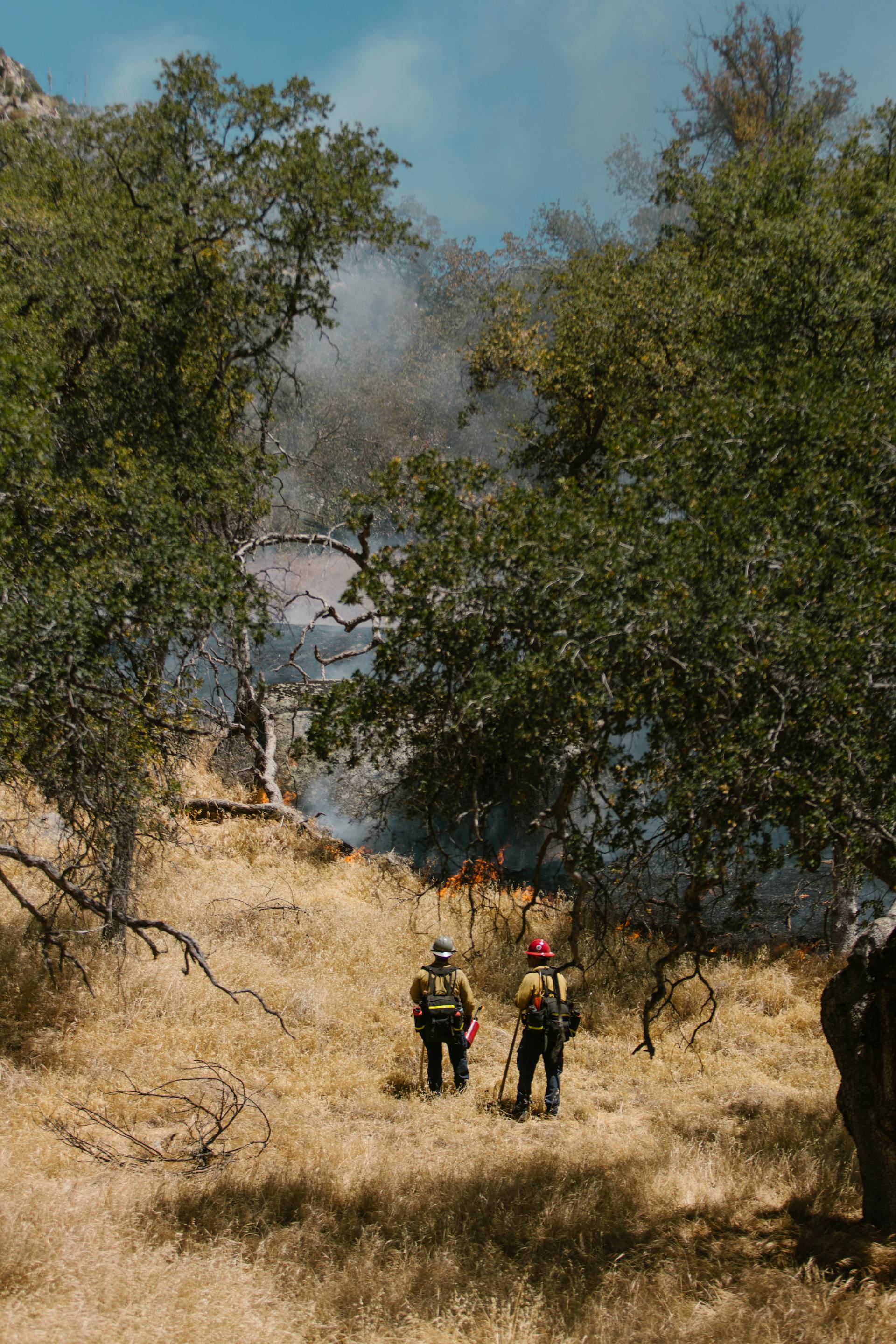 Firefighters confronting a wildfire