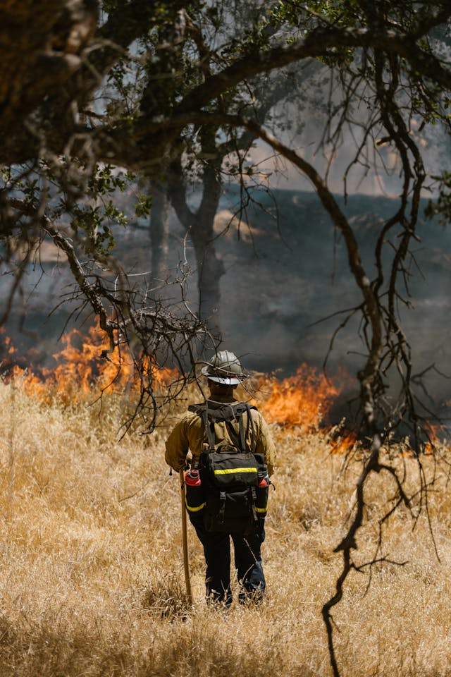 Firefighter facing a wildfire