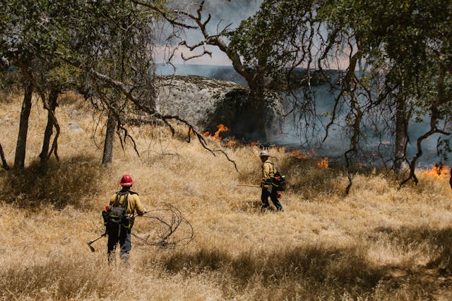 Firefighters controlling a wildfire