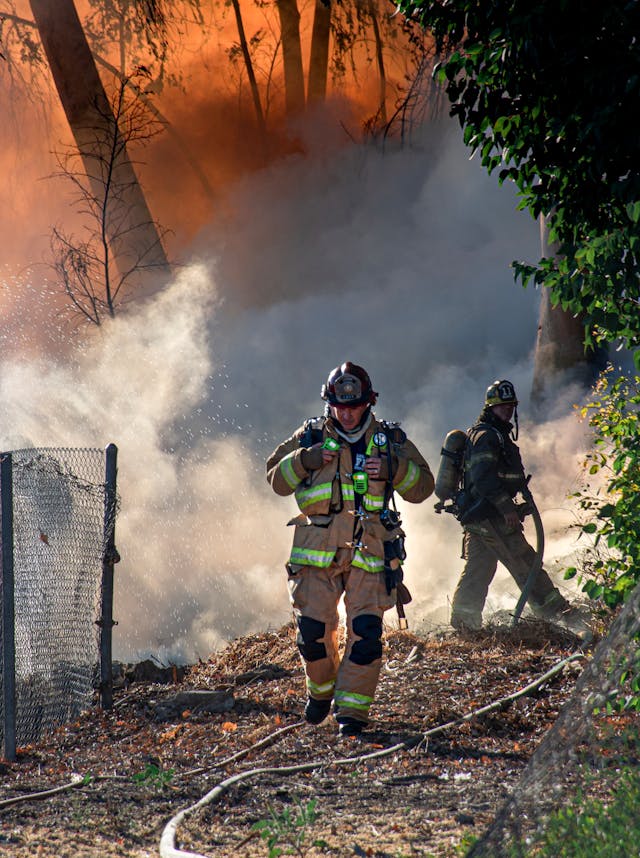 Firefighters extinguishing a forest fire
